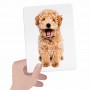 TACTILE FLASHCARDS carte tattili HEADU in cartone MONTESSORI età 1+ HEADU - 3