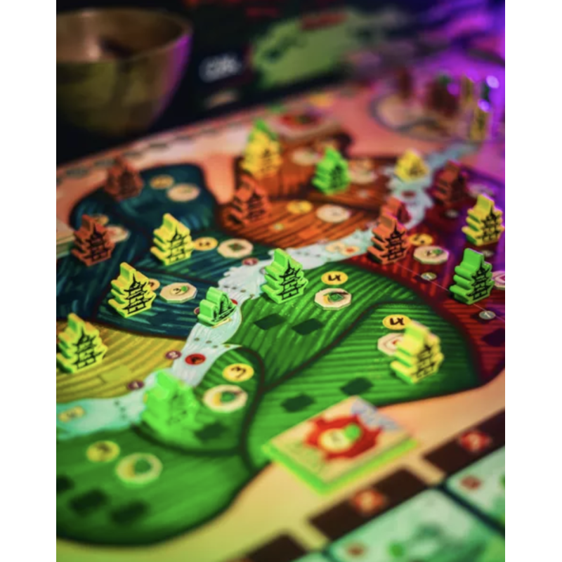 Flower Fields, la recensione del gioco da tavolo: crea il tuo giardino