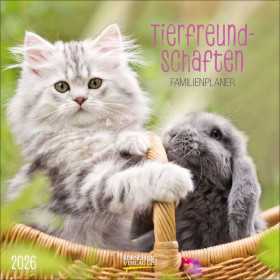 CALENDARIO 2026 korsch verlag ANIMALI family planner CM 30 X 30 da parete
