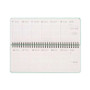 DESK PLANNER legami AGENDA 2026 da 13 mesi PASTEL MINT settimanale VERDE da scrivania
