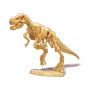 T-REX tyrannosaurus rex DINO DIG dinosauri SCHELETRO kit scientifico BUKI età 8+