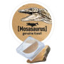 STEGOSAURO stegosaurus DINO DIG dinosauri SCHELETRO kit scientifico BUKI età 8+