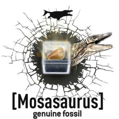 4M KidzLabs Scava e Crea Scheletro Dinosauro - Stegosauro Gioco Educativo per Bambini Scopri e Ricostruisci Fossili Preistorici Set Paleontologia