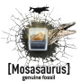 STEGOSAURO stegosaurus DINO DIG dinosauri SCHELETRO kit scientifico BUKI età 8+