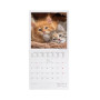 CALENDARIO DA PARETE 2026 legami KITTENS gattini 18 X 18 CM piccolo