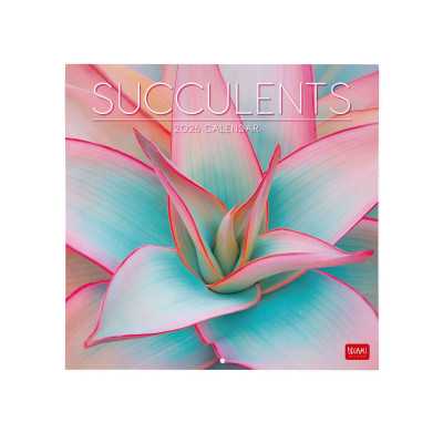 CALENDARIO DA PARETE 2026 legami SUCCULENTS piante 30 X 29 CM grande