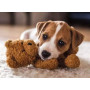 PUZZLE 500 PEZZI ravensburger CUDDLE BUDDIES originale CUCCIOLI