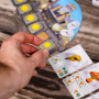 CARNUTA gioco da tavolo IN ITALIANO asmodee PER FAMIGLIE età 10+