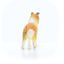CANE COLLIE miniatura in resina SCHLEICH animali FARM WORLD 13998 età 3+