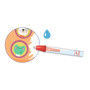 DISEGNI MAGICI da colorare IN VIAGGIO kit artistico DJECO set creativo DJ09074 età 18 mesi +