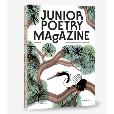 JUNIOR POETRY MAGAZINE VOL 10 periodico letterario per giovani poeti RAGAZZI E RAGAZZE età 8+