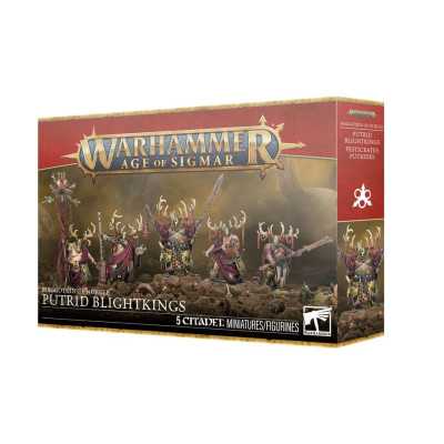 PUTRID BLIGHTKINGS set di miniature MAGGOTKIN OF NURGLE warhammer AGE OF SIGMAR età 12+