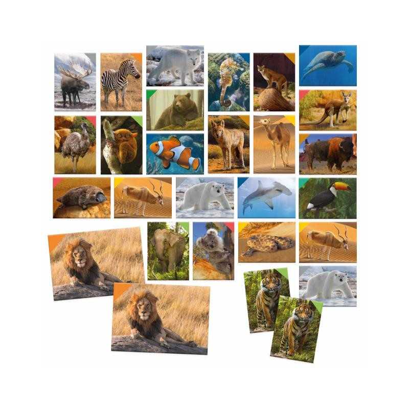 HEADU Memorix – 108 Cartes Mémoire Sur Les Monuments Du Monde, Jeu De Société Et Culture, Dès 5 Ans, Fabriqué En Italie
