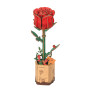 RED ROSE 2026 rosa rossa ROWOOD in legno ROBOTIME wooden bloom craft TW042 età 8+