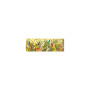 PUZZLE gallery PEACEFUL BIRDS uccelli 1000 PEZZI djeco DJ07687 età 9+
