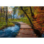 PUZZLE 1000 PEZZI ravensburger SENTIERO NEL BOSCO AUTUNNALE IN CROAZIA beautiful walkways 70 X 50 CM