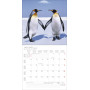 CALENDARIO 2027 korsch verlag ALL WE NEED IS LOVE quadrato 30X30CM da parete