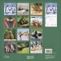 CALENDARIO 2027 korsch verlag ALL WE NEED IS LOVE quadrato 30X30CM da parete