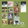 CALENDARIO 2027 korsch verlag CATS quadrato 30X30CM da parete