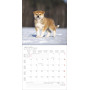 CALENDARIO 2027 korsch verlag DOGS quadrato 30X30CM da parete