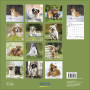 CALENDARIO 2027 korsch verlag DOGS quadrato 30X30CM da parete