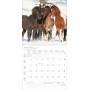 CALENDARIO 2027 korsch verlag HORSES quadrato 30X30CM da parete
