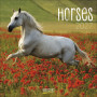 CALENDARIO 2027 korsch verlag HORSES quadrato 30X30CM da parete