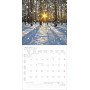 CALENDARIO 2027 korsch verlag MAGIC FORESTS quadrato 30X30CM da parete