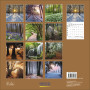 CALENDARIO 2027 korsch verlag MAGIC FORESTS quadrato 30X30CM da parete