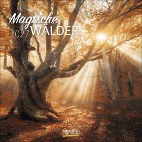 CALENDARIO 2027 korsch verlag MAGIC FORESTS quadrato 30X30CM da parete