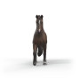 CASTRONE KWPN schleich HORSE CLUB miniatura in resina 14919 età 3+