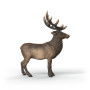 CERVO ROSSO AMERICANO schleich WILD LIFE miniatura in resina 14992 età 3+