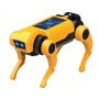 CANE ROBOT RADIOCOMANDATO rc robot dog MINI LAB kit scientifico BUKI età 8+
