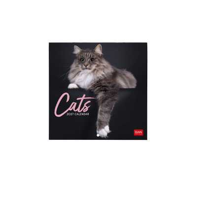 CALENDARIO 2027 da parete CATS quadrato LEGAMI cm18x18