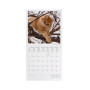 CALENDARIO 2027 da parete CATS quadrato LEGAMI cm18x18