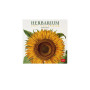 CALENDARIO 2027 da parete HERBARIUM quadrato LEGAMI cm18x18