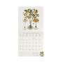 CALENDARIO 2027 da parete HERBARIUM quadrato LEGAMI cm18x18