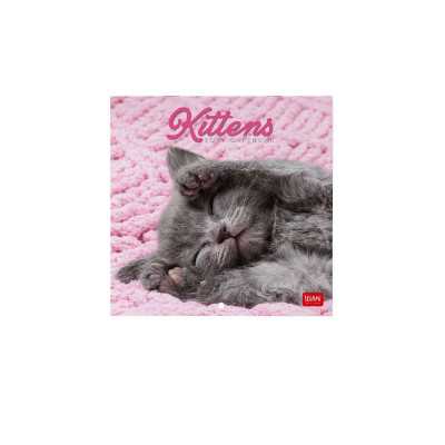 CALENDARIO 2027 da parete KITTENS quadrato LEGAMI cm18x18