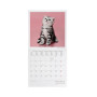 CALENDARIO 2027 da parete KITTENS quadrato LEGAMI cm18x18