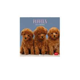 CALENDARIO 2027 da parete PUPPIES quadrato LEGAMI cm18x18