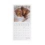 CALENDARIO 2027 da parete PUPPIES quadrato LEGAMI cm18x18