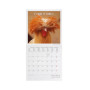 CALENDARIO 2027 da parete TAKE IT EASY quadrato LEGAMI cm18x18