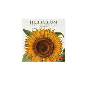 CALENDARIO 2027 da parete HERBARIUM quadrato LEGAMI cm30x30