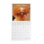 CALENDARIO 2027 da parete TAKE IT EASY quadrato LEGAMI cm30x30