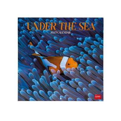 CALENDARIO 2027 da parete UNDER THE SEA quadrato LEGAMI cm30x30