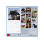 CALENDARIO 2027 da parete WILD HORSES quadrato LEGAMI cm30x30