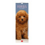 CALENDARIO 2027 da parete PUPPIES legami VERTICALE cm16x49