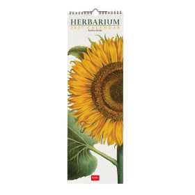 CALENDARIO 2027 da parete HERBARIUM legami VERTICALE cm16x49