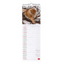 CALENDARIO 2027 da parete CATS legami VERTICALE cm16x49