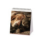 CALENDARIO 2027 da tavolo BEST FRIENDS legami PER SCRIVANIA cm12x14,5